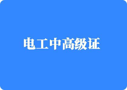 黄草爽死逼电工中高级证